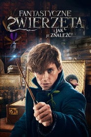 Fantastyczne zwierzęta i jak je znaleźć (2016) - Vider